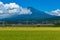 Japanese countryside landscape of rice field and Mt Fuji