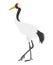 Japanese Crane