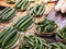 Japanese Cucumbers in Basket sell Fresh Market