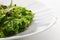 Japanese cuisine, healthy organic sea food. Seaweed salad