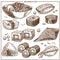 Japanese cuisine sketch traditional food dishes icons.