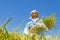 Japanese farmer man, 70-year-old Japanese man