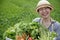 Japanese farmer woman harvests vegetables from the field