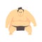 Japanese Fat Sumo Martial Arts Fighter, Fighting Sports Professional In Traditional Fighting Sportive Clothing