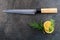 Japanese fillet fish knife with lemon on grey background, kitchen accesories