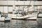 Japanese fishing boats at Katsuura Harbor in Wakayama.