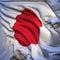 Japanese flag, fluttering