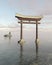 Japanese Floating Torii Gate at a Shinto Shrine