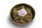 Japanese food rice with slice pork and egg, Butadon