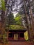 Japanese Forest Temple