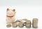 Japanese fortune wealth cat figure Maneki Neko with stacking coins