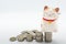 Japanese fortune wealth cat figure Maneki Neko with stacking coins