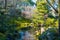 Japanese garden with beautiful lake