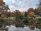 Japanese garden. Botanic garden, Moscow, Autumn.   Artificial pond, leaves in the water.