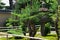 Japanese garden of Daitokuji temple Kyoto Japan.