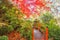 Japanese garden with footbridge and gazebo in Autumn