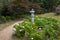 Japanese Garden at Kingston Lacy in Dorset