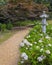 Japanese Garden at Kingston Lacy in Dorset