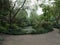 Japanese garden landscape panorama