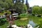 Japanese Garden Lilly Pond