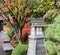 Japanese Garden Park Benches in the Fall