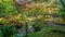 Japanese garden pond lined with bright colored branches and sunny spots