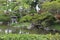 Japanese garden with pond at Osaka Castle