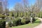 Japanese garden in Rheinaue park. Bonn, Germany.