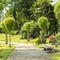 Japanese garden in Rizal Luneta park, Manila, Philippines