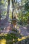 Japanese garden with Shinto shrine at Fushimi Inari Shrine