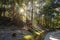 Japanese garden with Shinto shrine at Fushimi Inari Shrine