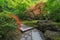 Japanese Garden Strolling Stone Path with manicured plants and trees