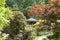 Japanese Garden in summer, exotic plants, Wroclaw, Poland