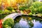 Japanese garden with swimming koi fishes in pond