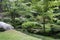 Japanese Garden, Tatton Park