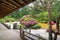 Japanese Garden from the Veranda