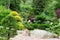 Japanese garden view with shaped trees, stones, sand, wooden bridge. Poland, Shklarska poreba.  Selective focus