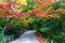 Japanese garden with walkway, autumn background