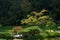 Japanese Garden in Washington Park Arboretum, Seattle, Washington