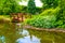 Japanese garden, wooden bridge over the pond, Japanese garden design, summer garden in Japanese style