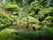 Japanese gardens with pond. Portland OR.
