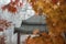 Japanese gazebo in autumn park