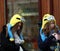 Japanese girl in minion hood at Universal Studios Japan. Minions are the numerous fictional creatures.