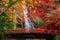 Japanese girl in traditional kimono dress on the red bridge in minoh waterfall