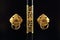 Japanese golden door handle