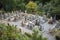 Japanese graveyard at Enkoji Temple in Kyoto, Japan