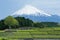 Japanese green tea plantation and Mt. Fuji