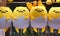 Japanese Gudetama Dolls