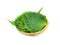 Japanese herb, a beefsteak plant; Perilla frutescens crispa