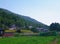 Japanese houses on the edge of a forest, with crops in the foreground.